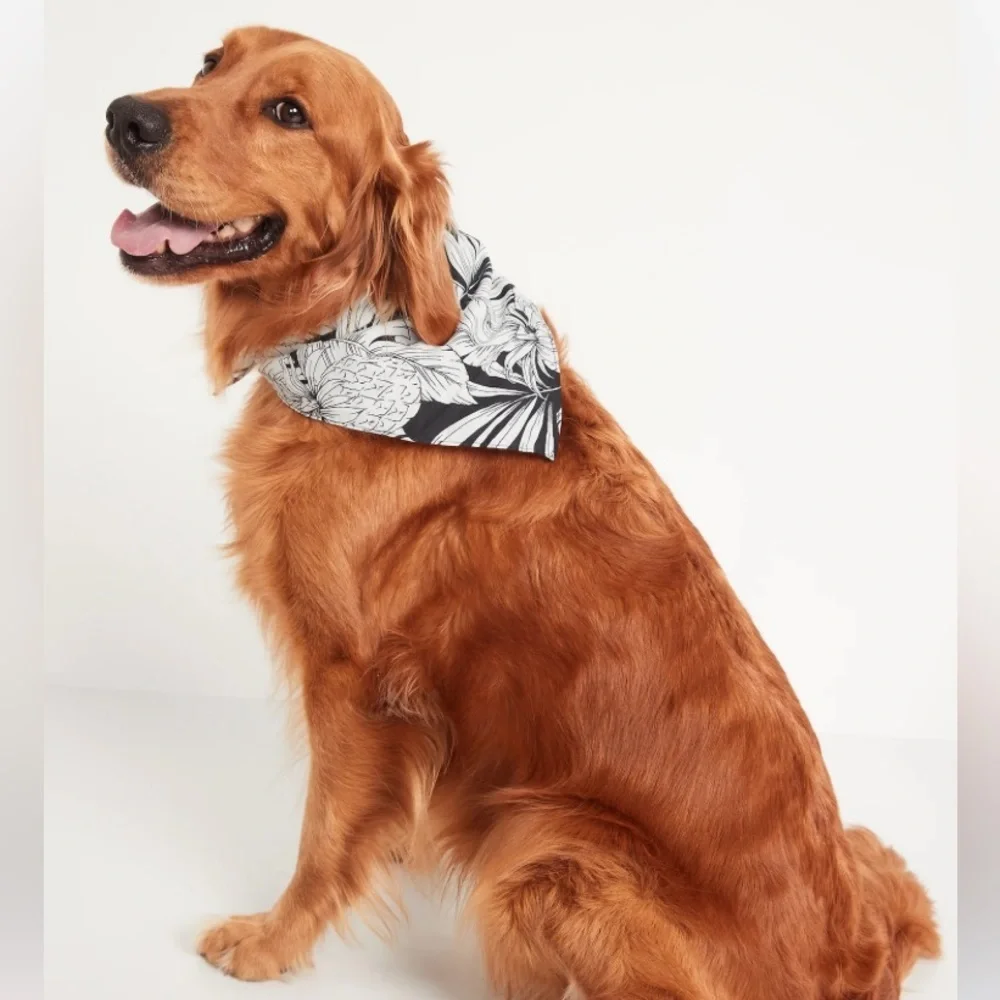 Old Navy Dog Bandanas - 2  NWT